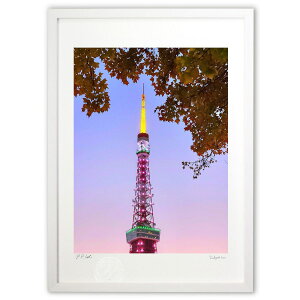 ŉ ^[ (Rito)CeA Ǌ| z i |X^[ A[g rO ւɏ  v[g _ A[gt[