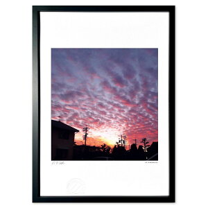 yX[p[SALEzzŉ sN̗r_Ǝ̋TZbg (Ð )