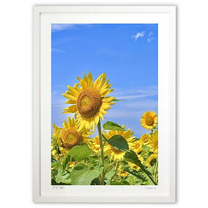 ŉ XPb`悤ȂЂ܂ (mitan)CeA Ǌ| z i |X^[ A[g rO ւɏ  v[g _ A[gt[