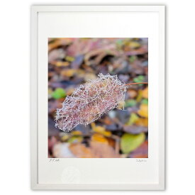 版画 雫いっぱいに (HARU)インテリア 壁掛け 額入り 風景画 ポスター アート リビング 玄関に飾る 風水 プレゼント モダン アートフレーム