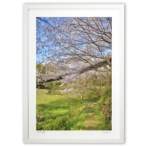 版画 吊り橋と桜 (mitan)インテリア 壁掛け 額入り 風景画 ポスター アート リビング 玄関に飾る 風水 プレゼント モダン アートフレーム
