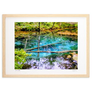 ŉ ̎vo (Xm[oj)CeA Ǌ| z i |X^[ A[g rO ւɏ  v[g _ A[gt[