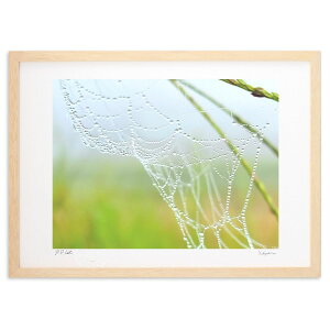 �ŉ� ���I (HARU)�C���e���A �Ǌ|�� �z���� ���i�� �|�X�^�[ �A�[�g ���r���O ���ւɏ��� ���� �v���[���g ���_�� �A�[�g�t���[��