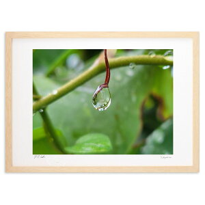 �ŉ� �� (HARU)�C���e���A �Ǌ|�� �z���� ���i�� �|�X�^�[ �A�[�g ���r���O ���ւɏ��� ���� �v���[���g ���_�� �A�[�g�t���[��