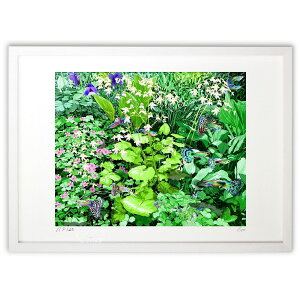 ŉ early summer garden 01 (N)