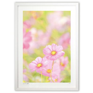 ŉ  CXs[V^Ed^EACfBA^ER~jP[V^UPĨRXXyc2z (Kyoko.Abe)