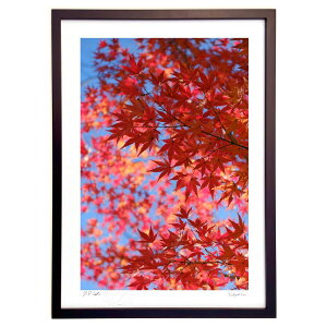 ŉ H (h)CeA Ǌ| z i |X^[ A[g rO ւɏ  v[g _ A[gt[