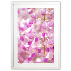 ŉ  N^E^EƉ^^UPI̓y5z (Kyoko.Abe)