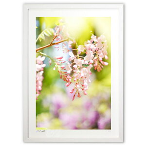 ŉ  N^E^EƉ^^UPI̓y6z (Kyoko.Abe)