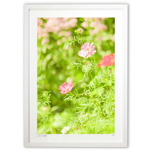 ŉ  CXs[V^Ed^EACfBA^ER~jP[V^UPĨRXXyc3z (Kyoko.Abe)