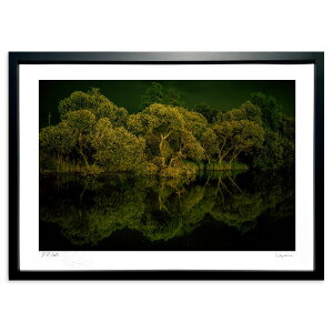 ŉ  (yutaka_tain_aka)CeA Ǌ| z i |X^[ A[g rO ւɏ  v[g _ A[gt[