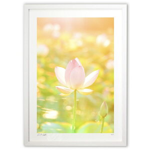 ŉ  Xs`A^UPI_ȃnXy5z (Kyoko.Abe)