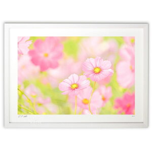 ŉ  CXs[V^Ed^EACfBA^ER~jP[V^UPĨRXXyz (Kyoko.Abe)