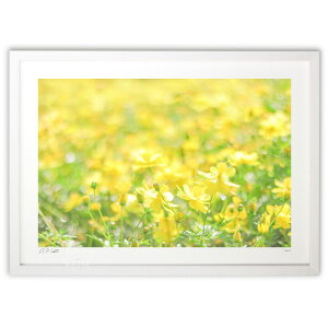 ŉ  ^E^̓ł̏򉻁E^UPĨLoiRXXyz (Kyoko.Abe)