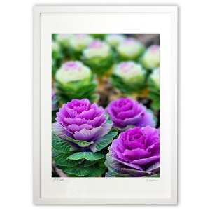 ŉ tO (Rito)CeA Ǌ| z i |X^[ A[g rO ւɏ  v[g _ A[gt[