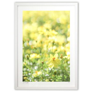 ŉ  ^E^̓ł̏򉻁E^UPĨLoiRXXycz (Kyoko.Abe)