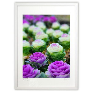 ŉ tO (Rito)CeA Ǌ| z i |X^[ A[g rO ւɏ  v[g _ A[gt[