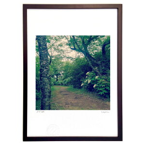 版画 紫陽花のある風景 (eri)インテリア 壁掛け 額入り 風景画 ポスター アート リビング 玄関に飾る 風水 プレゼント モダン アートフレーム