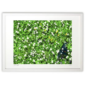 【スーパーSALE半額】版画 赤兎岳　小原林道の春04 (白川哲治)インテリア 壁掛け 額入り 風景画 ポスター アート リビング 玄関に飾る 風水 プレゼント モダン アートフレーム