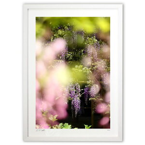 ŉ  N^E^EƉ^^UPI̓y3z (Kyoko.Abe)