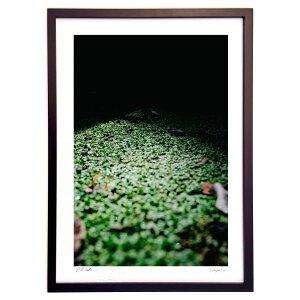 ŉ O~ (yutaka_tain_aka)CeA Ǌ| z i |X^[ A[g rO ւɏ  v[g _ A[gt[