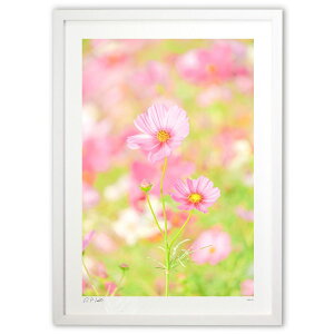 ŉ  CXs[V^Ed^EACfBA^ER~jP[V^UPĨRXXyc1z (Kyoko.Abe)