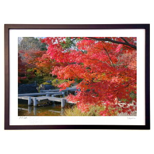 ŉ {뉀̍gt (h)CeA Ǌ| z i |X^[ A[g rO ւɏ  v[g _ A[gt[