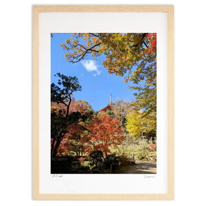 ŉ gt (mii7aa)CeA Ǌ| z i |X^[ A[g rO ւɏ  v[g _ A[gt[