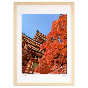 ŉ gt (mii7aa)CeA Ǌ| z i |X^[ A[g rO ւɏ  v[g _ A[gt[