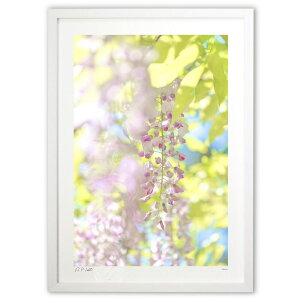 ŉ  N^E^EƉ^^UPI̓y2z (Kyoko.Abe)