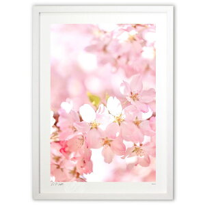 ŉ  щ^Ee^Eqĉ^UPI̍yc1z (Kyoko.Abe)