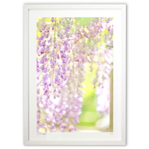 ŉ  N^E^EƉ^^UPI̓y1z (Kyoko.Abe)