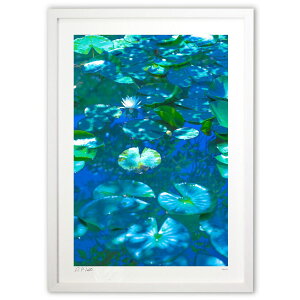 ŉ  ^E^E~^EQȂ̉P^UPI@ (Kyoko.Abe)