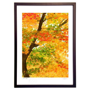 ŉ яH (ʍ)CeA Ǌ| z i |X^[ A[g rO ւɏ  v[g _ A[gt[