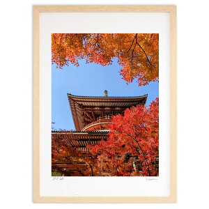 ŉ gt (mii7aa)CeA Ǌ| z i |X^[ A[g rO ւɏ  v[g _ A[gt[