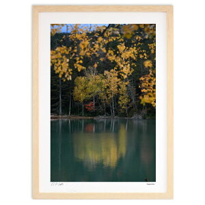 ŉ ΂ɉfgt ( )CeA Ǌ| z i |X^[ A[g rO ւɏ  v[g _ A[gt[