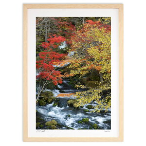 ŉ N₩ȍgt ( )CeA Ǌ| z i |X^[ A[g rO ւɏ  v[g _ A[gt[