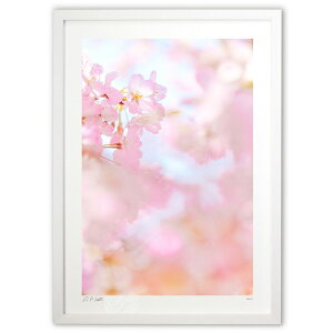 ŉ  щ^Ee^Eqĉ^UPI̍yc6z (Kyoko.Abe)