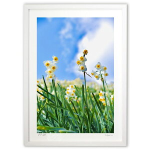 版画 新春の空と水仙 (mitan)インテリア 壁掛け 額入り 風景画 ポスター アート リビング 玄関に飾る 風水 プレゼント モダン アートフレーム