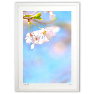 ŉ  щ^Ee^Eqĉ^UPI̍yc3z (Kyoko.Abe)