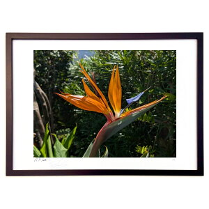 ŉ Ɋy2 (okiron)CeA Ǌ| z i |X^[ A[g rO ւɏ  v[g _ A[gt[