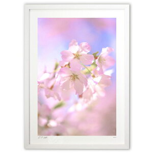 ŉ  щ^Ee^Eqĉ^UPI̍yc2z (Kyoko.Abe)