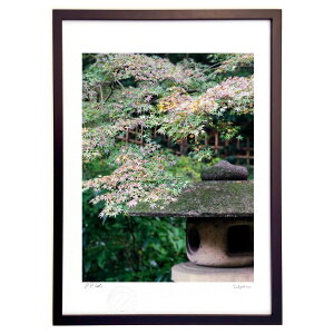 ŉ ݂ƐΓU (Rito)CeA Ǌ| z i |X^[ A[g rO ւɏ  v[g _ A[gt[