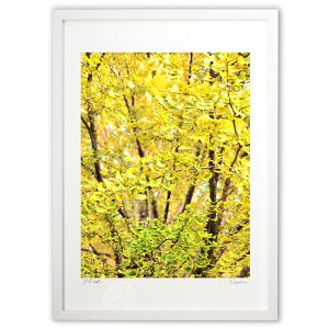 yƂ̍izc[gJ[΂̕cĂc[gJ[̃C`E̗tCɍDłB&