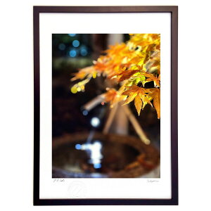 ŉ gt (Rito)CeA Ǌ| z i |X^[ A[g rO ւɏ  v[g _ A[gt[