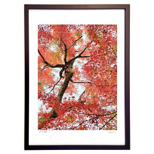 ŉ gt (Rito)CeA Ǌ| z i |X^[ A[g rO ւɏ  v[g _ A[gt[