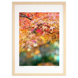 ŉ ݂ (Rito)CeA Ǌ| z i |X^[ A[g rO ւɏ  v[g _ A[gt[