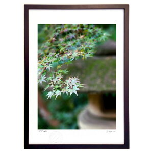 ŉ ݂ƐΓU (Rito)CeA Ǌ| z i |X^[ A[g rO ւɏ  v[g _ A[gt[