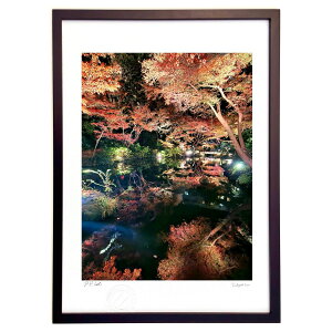 �ŉ� �r�c�R�����̃��C�g�A�b�v (Rito)�C���e���A �Ǌ|�� �z���� ���i�� �|�X�^�[ �A�[�g ���r���O ���ւɏ��� ���� �v���[���g ���_�� �A�[�g�t���[��