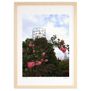 ŉ Ho (Xm[oj)CeA Ǌ| z i |X^[ A[g rO ւɏ  v[g _ A[gt[